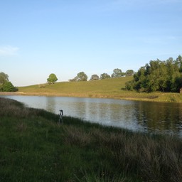 IMG 0684