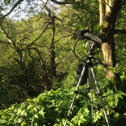 Zoom Tre 2.1