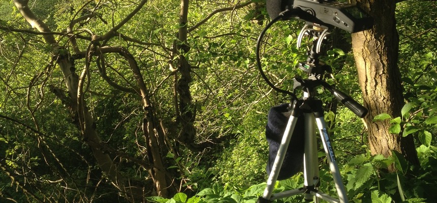 Zoom Tre 2.1