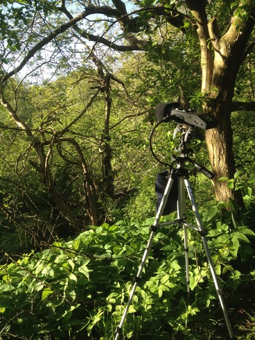 Zoom Tre 2.1